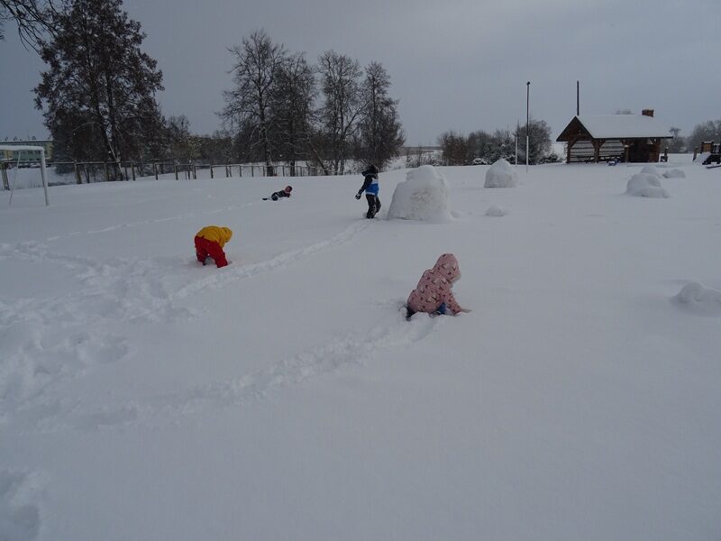 Posesja szkolna. Dzieci bawią się na śniegu.