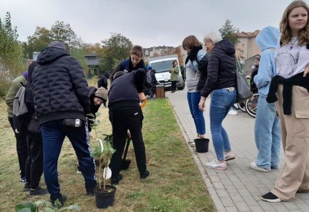 Olecko. Uczniowie sadzą sadzonki drzew.